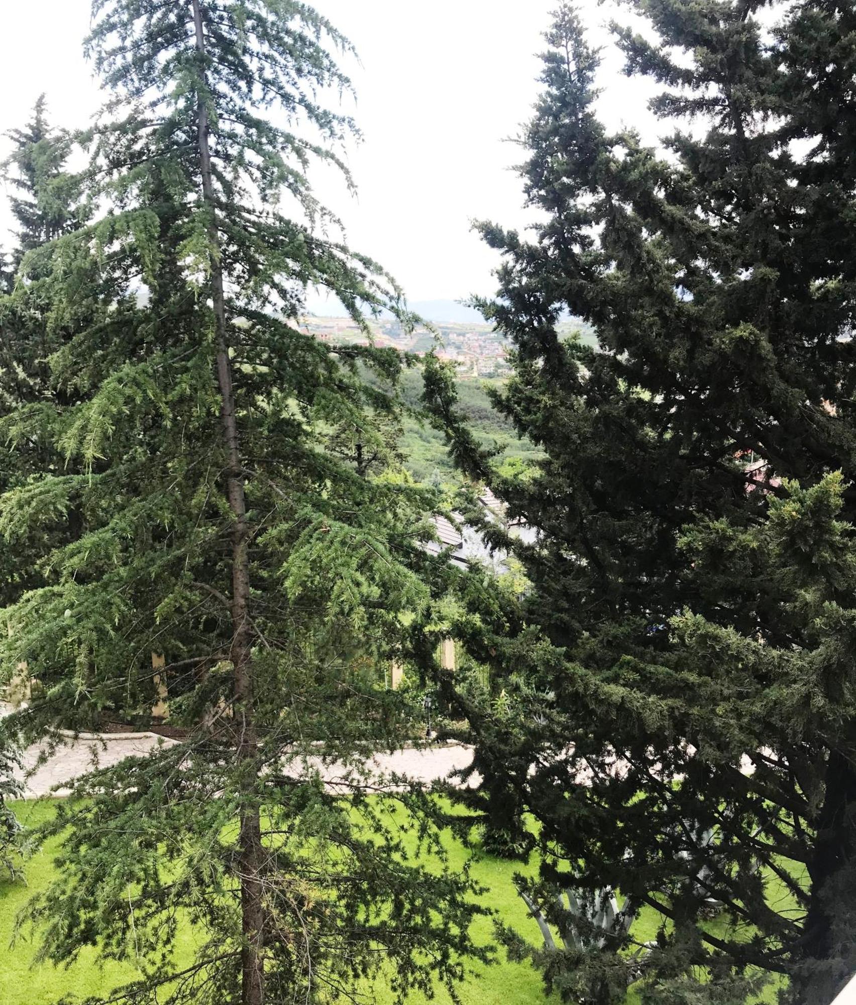 Chateau Linza Resort Tirana Exteriör bild